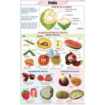 Fruits and Their Classification Chart